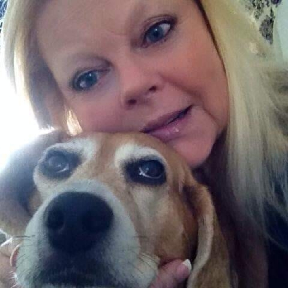 Meet your Posher, Evelyn